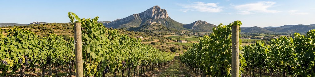 Pic Saint Loup - Chateau l'Euzière